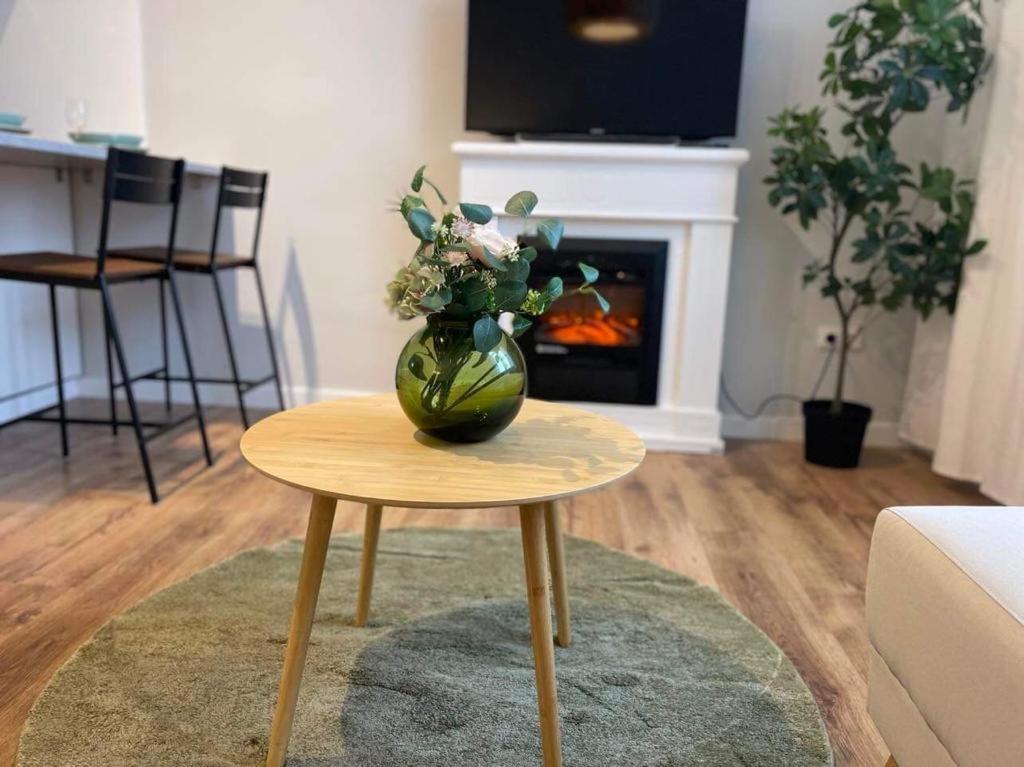 Apartman Vinohrady ブルノ エクステリア 写真