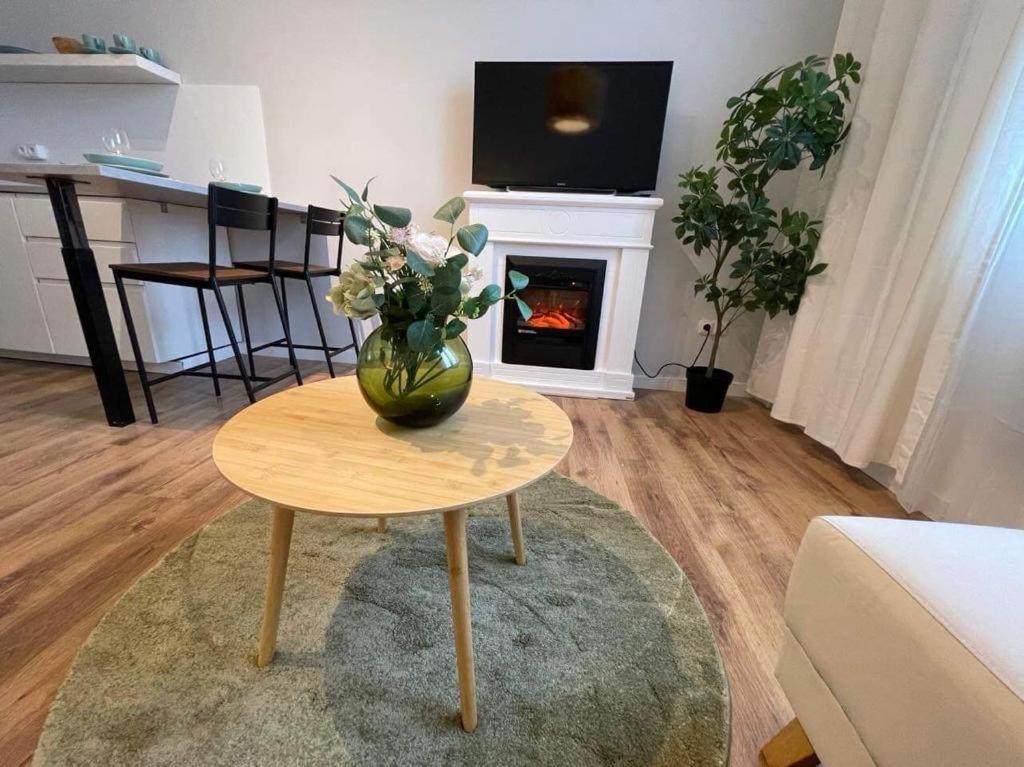 Apartman Vinohrady ブルノ エクステリア 写真
