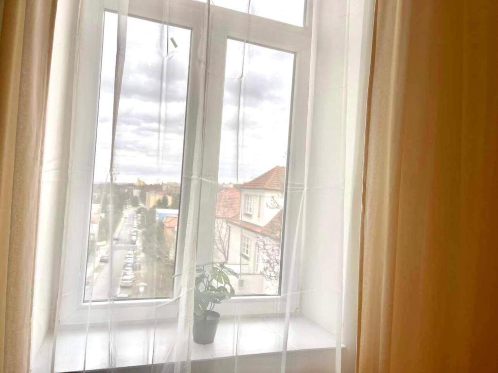 Apartman Vinohrady ブルノ エクステリア 写真